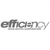 Efficiency NS